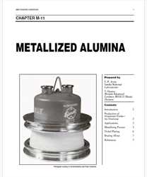 Picture of BHCM11 - Metallized Alumina